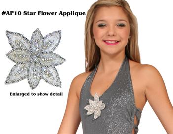 #AP10 Star Flower Applique